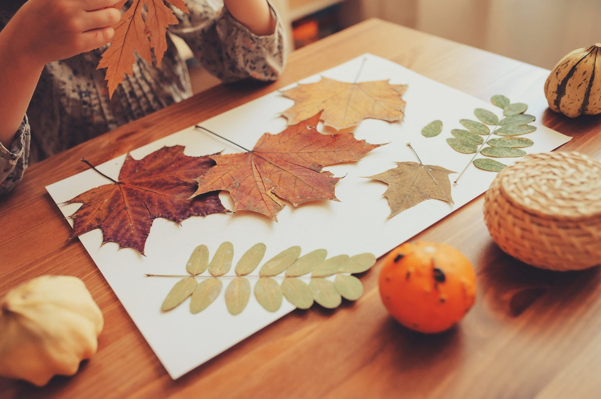 10 Fall Craft Ideas for the Whole Family