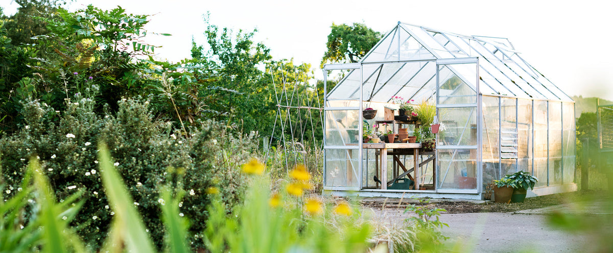 A greenhouse filled with plants and gardening supplies sits open among lush landscaping. 
