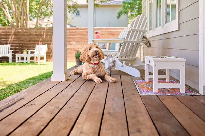 A dog lies on a covered wooden porch near a white POLYWOOD Pet feeder. 