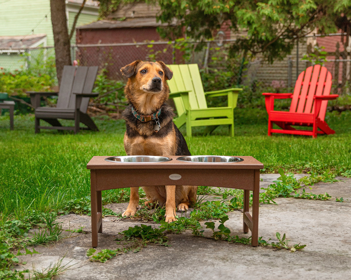 Pet Feeder