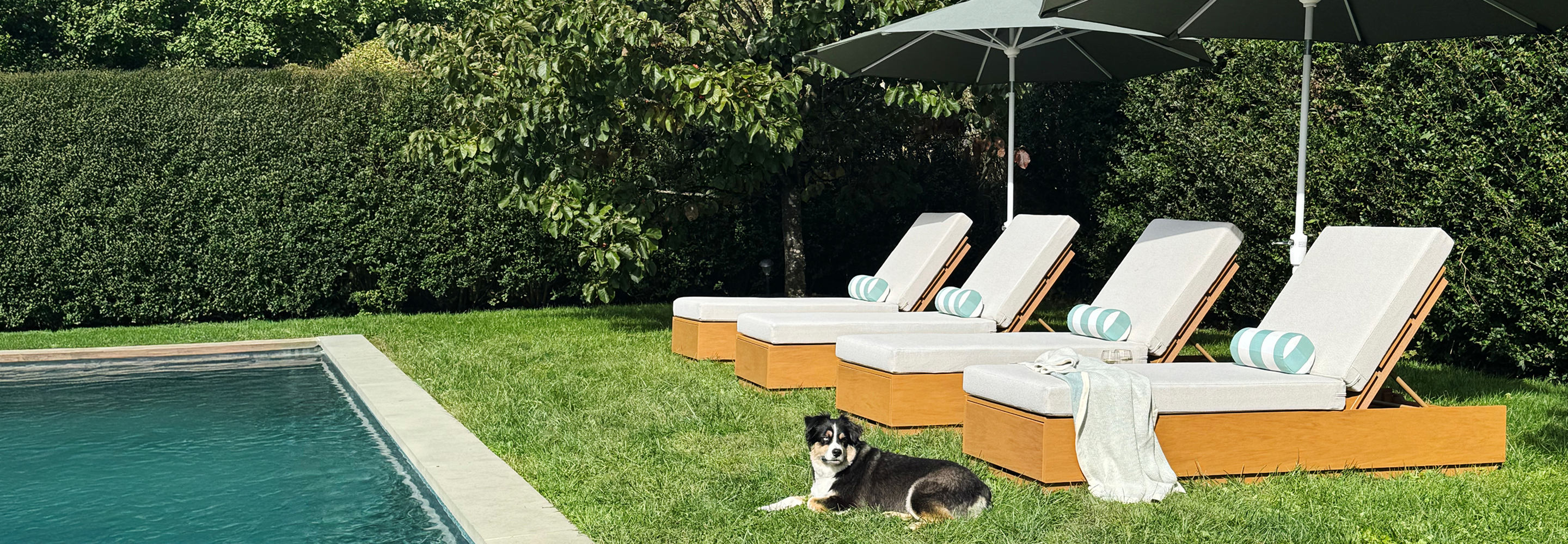 POLYWOOD chaise lounges from the Elevate Collection sit on a grassy lawn near a swimming pool surrounded by tall hedges.
