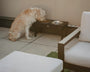 Pet Feeder