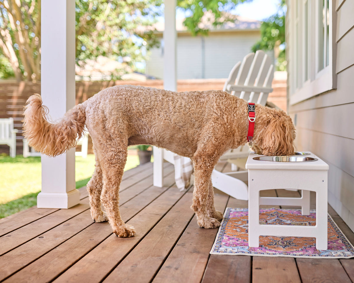 Pet Feeder