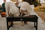 Pet Feeder